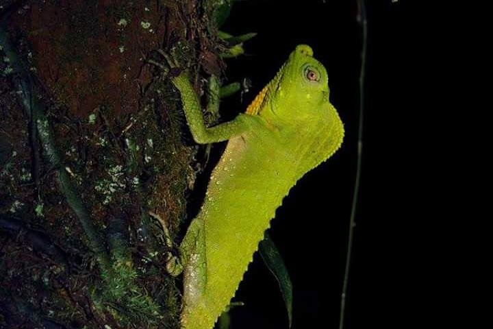 Day Tour - White Water Rafting | Rain Forest | Pre-Historic Cave - Photo 1 of 4